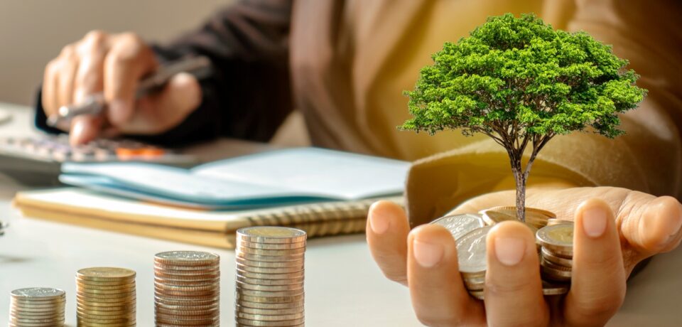 Untitled design (21) Untitled design (21)